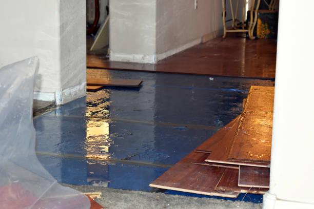Professional Flood Cleanup technician working in Lisbon, IA